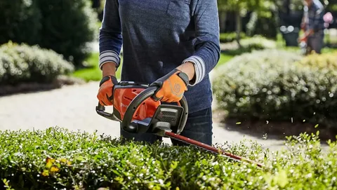 hedge trimmers Brisbane